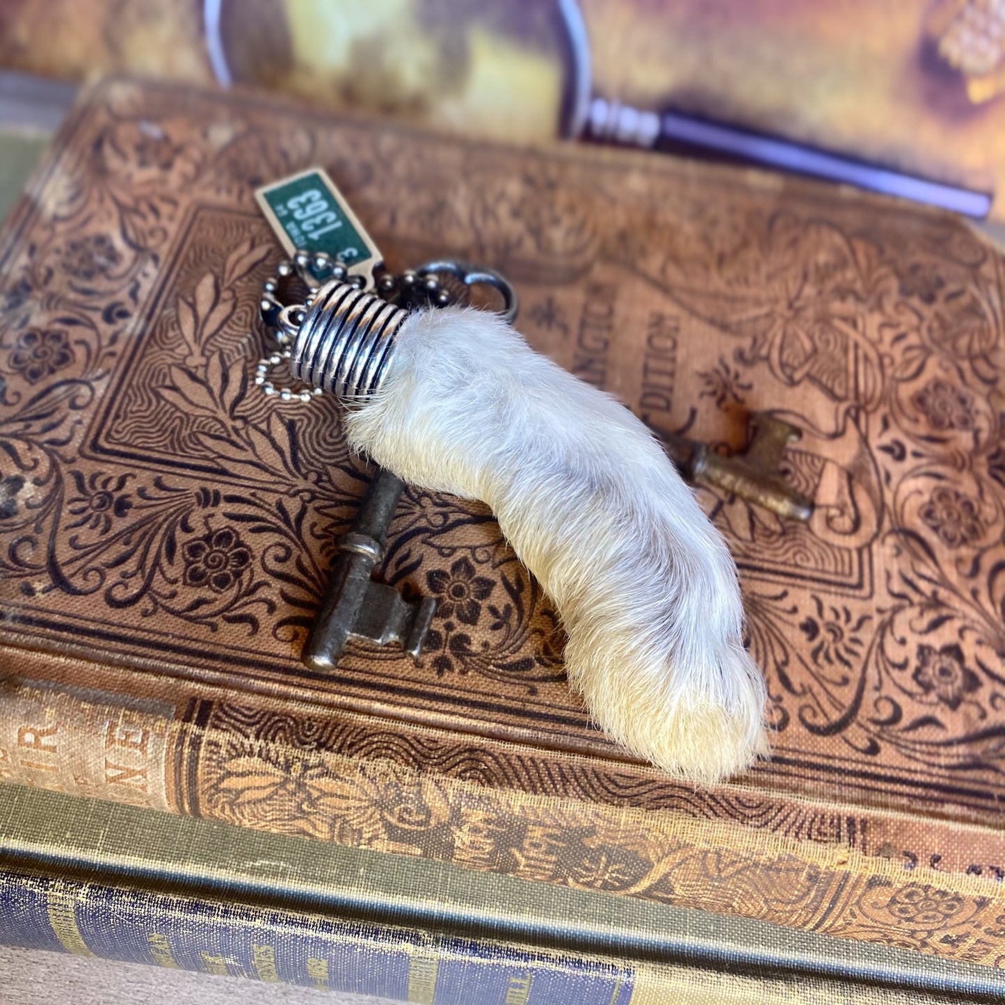 Lucky Rabbit’s Foot