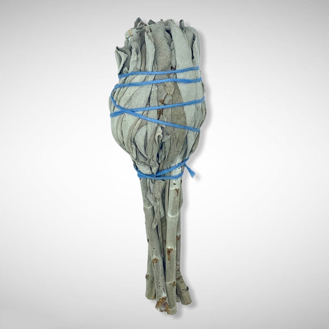 Torch Style Mini White Sage Smudge