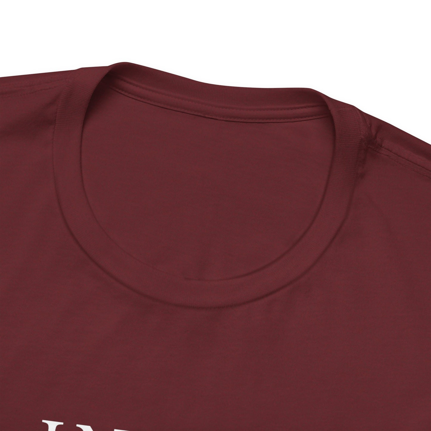 In My Lana Era Unisex Jersey Short Sleeve Tee