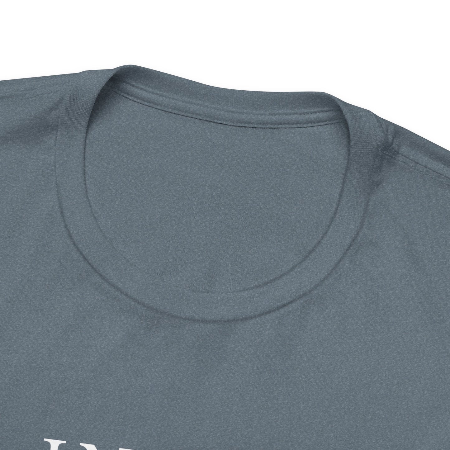 In My Lana Era Unisex Jersey Short Sleeve Tee