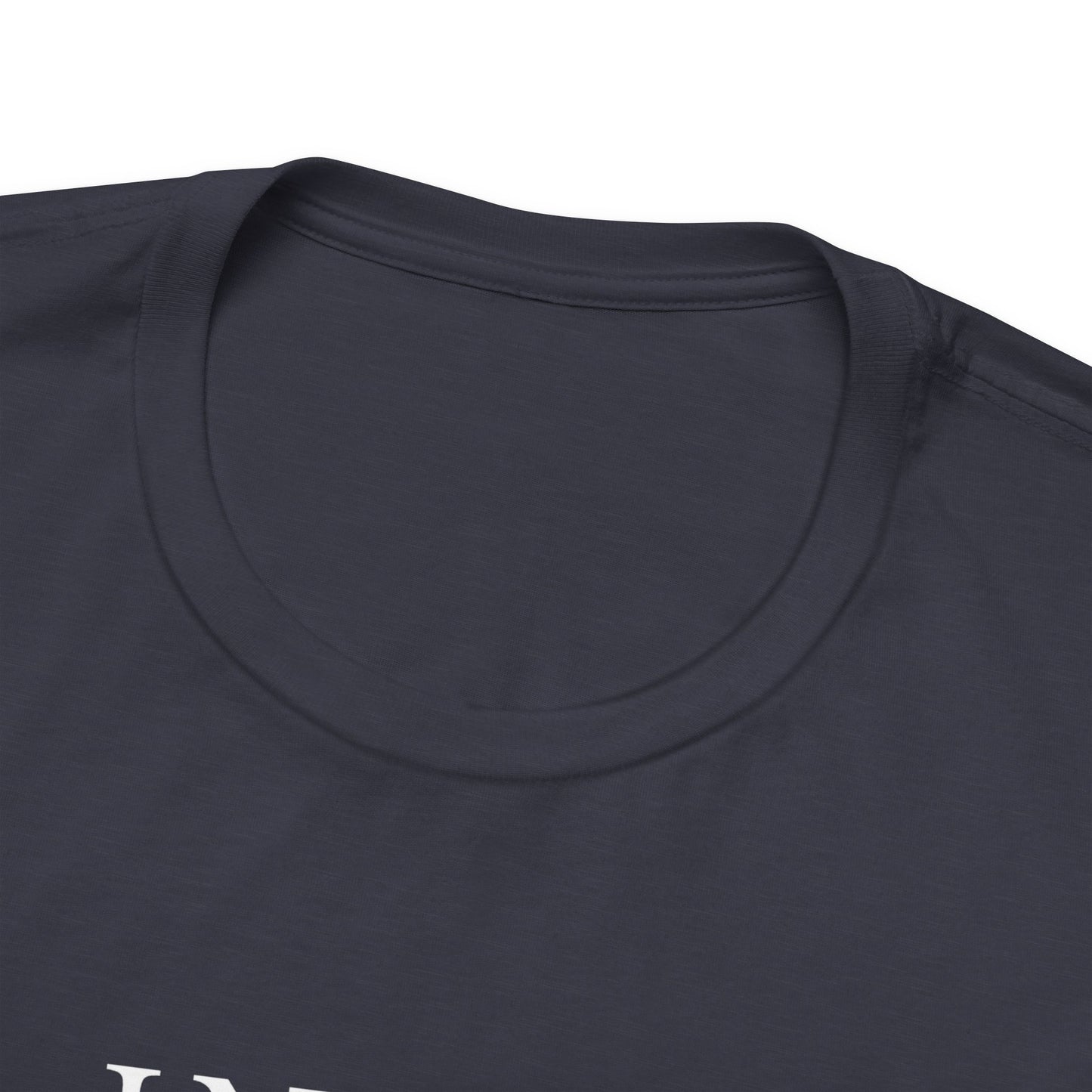In My Lana Era Unisex Jersey Short Sleeve Tee