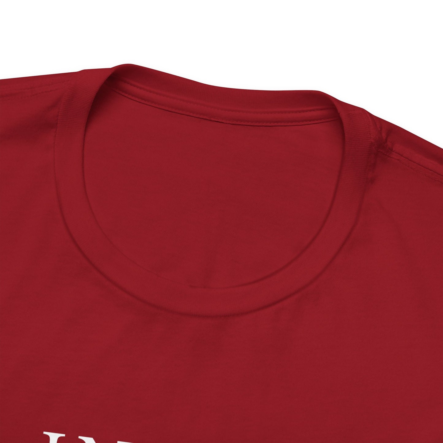In My Lana Era Unisex Jersey Short Sleeve Tee