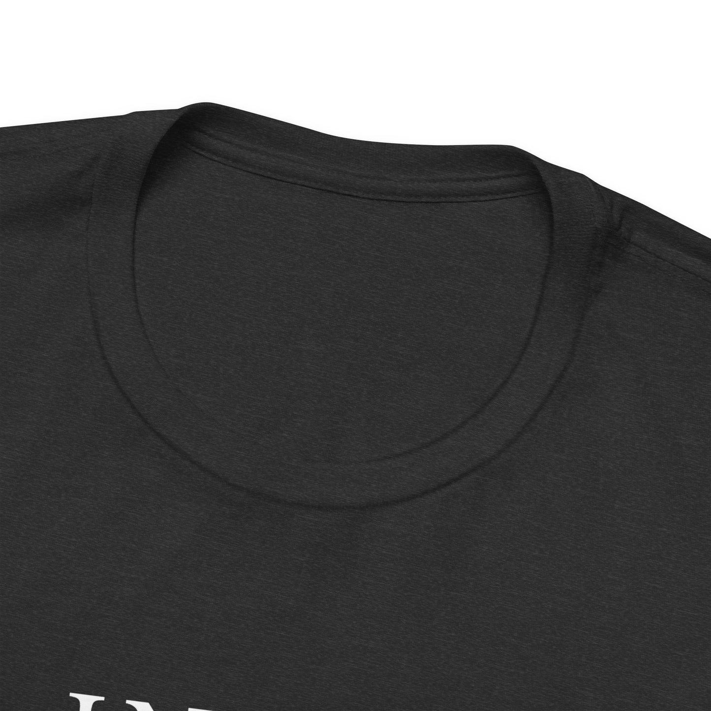 In My Lana Era Unisex Jersey Short Sleeve Tee