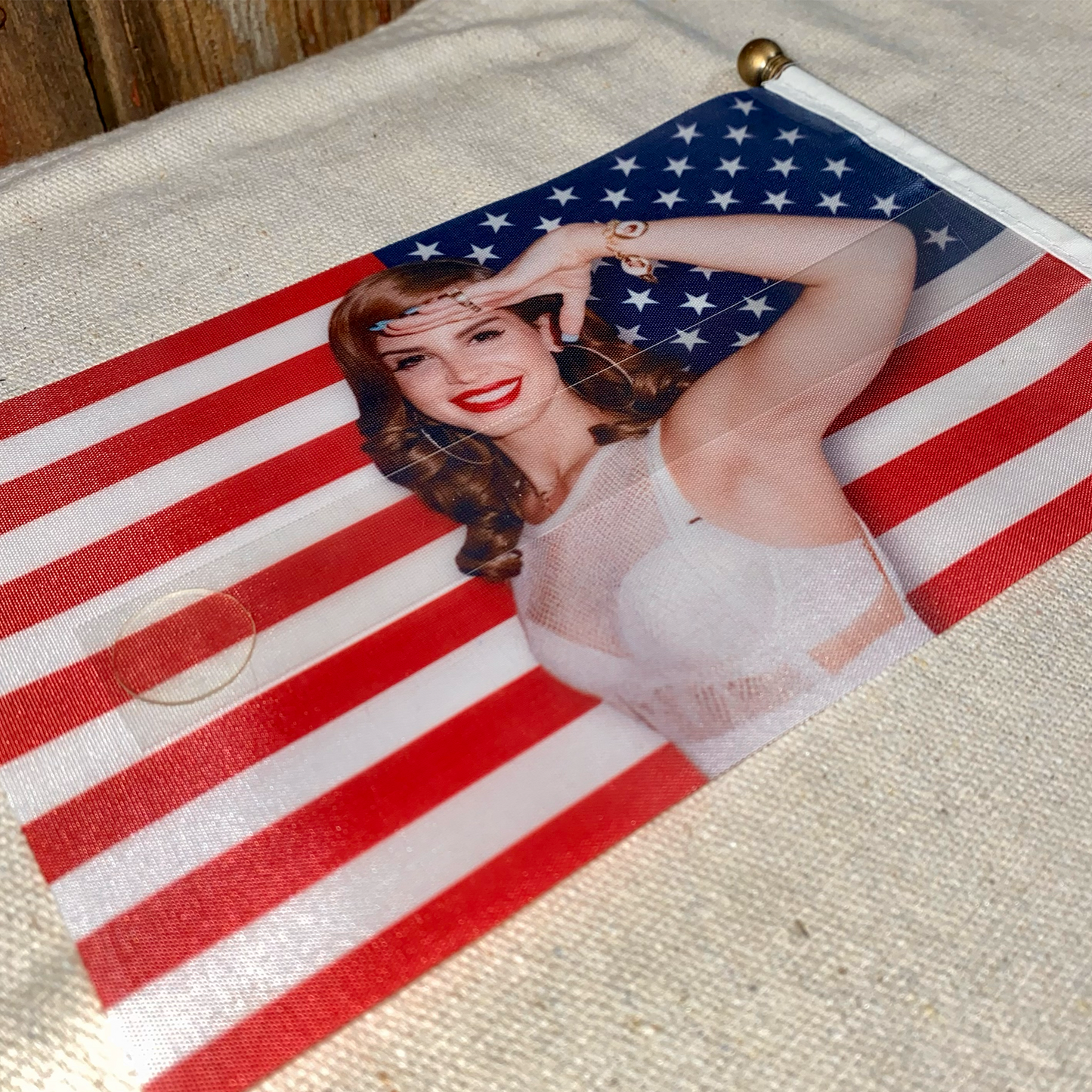 Lana’s Hope for America Mini American Flag and Stand