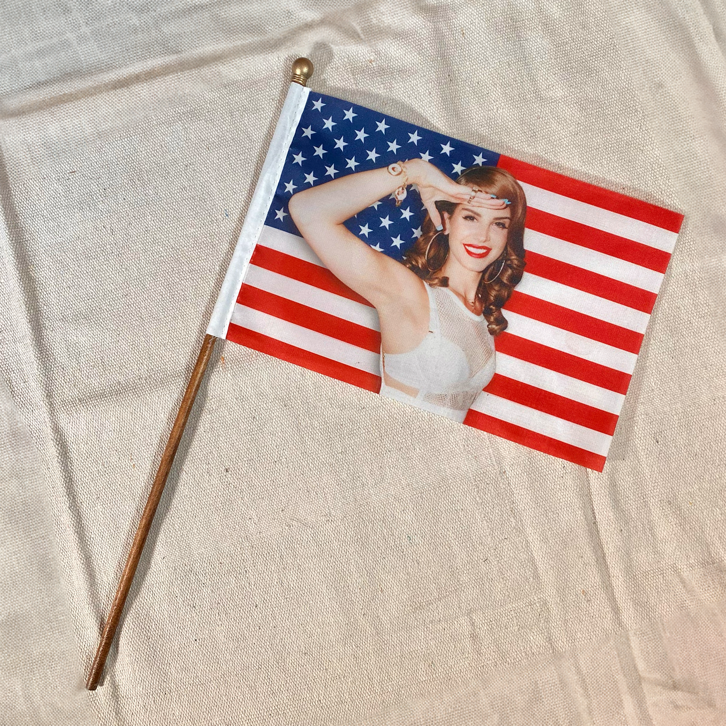 Lana’s Hope for America Mini American Flag and Stand