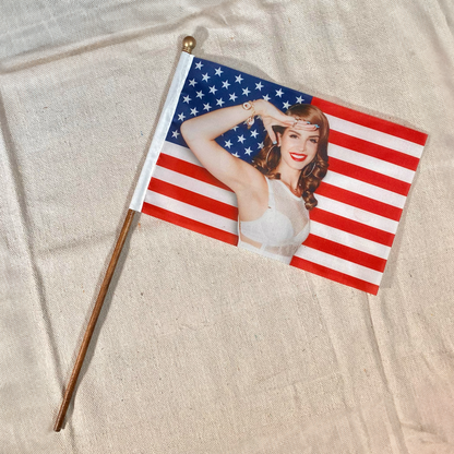 Lana’s Hope for America Mini American Flag and Stand