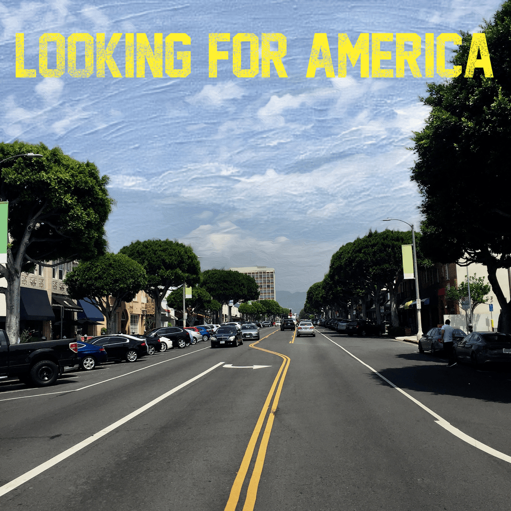 Looking for America Button – Lana Del Rey Inspired Poetic Protest Pin