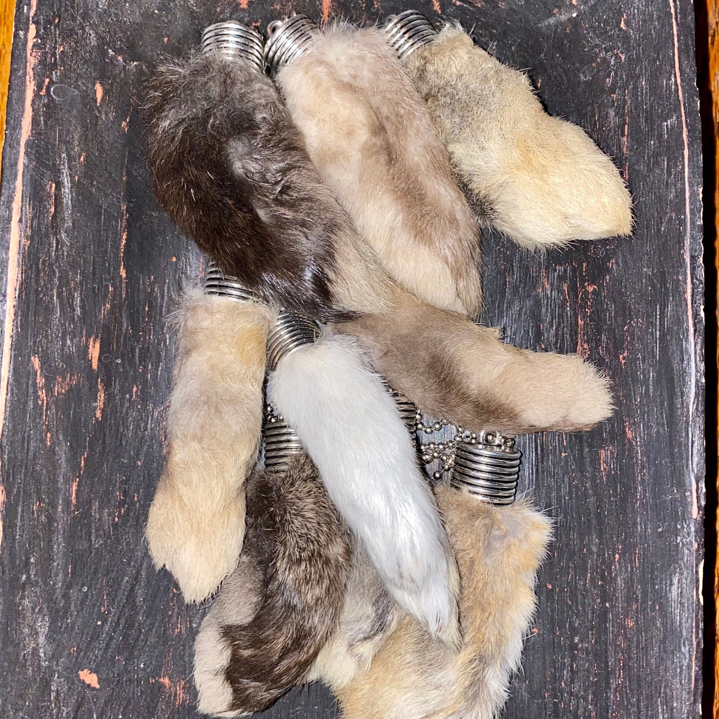 Lucky Rabbit’s Foot